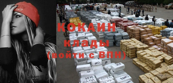 индика Алзамай