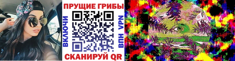 Псилоцибиновые грибы Cubensis Хвалынск